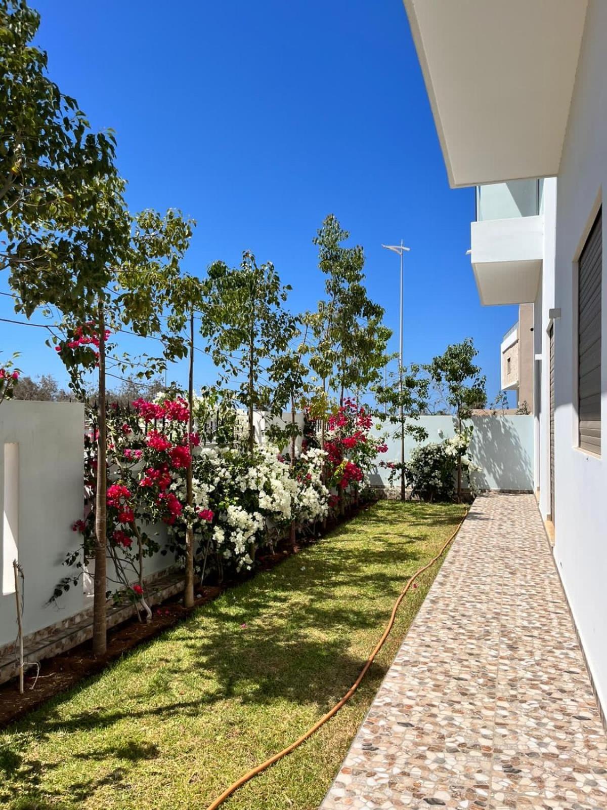 Villa Africa Эс-Сувейра Экстерьер фото